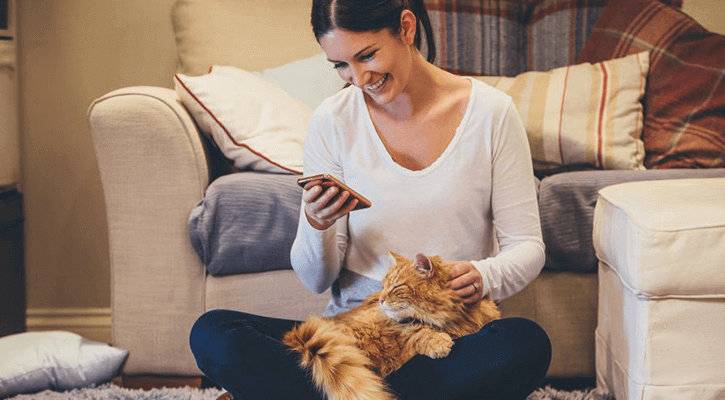 Contact Pet Pharmacy in Indianapolis, IN