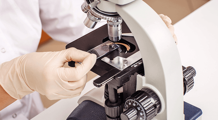 In-House-Lab Pet Lab Analysis & Diagnostics in Indianapolis, IN
